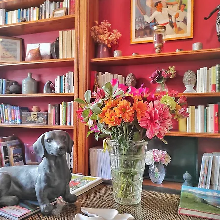 מלון La Marisa Grande סן-ז'אן-דה-לוז