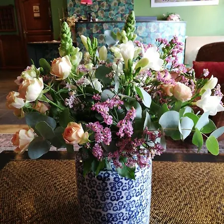 La Marisa Grande 3* סן-ז'אן-דה-לוז